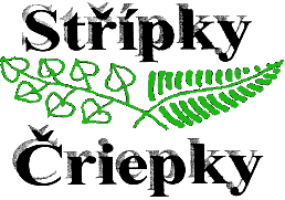 StripkyLogo